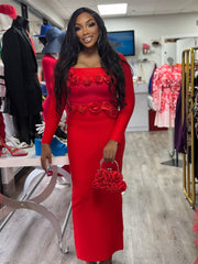 ARI Floral Applique Crop Top and Skirt Set