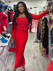 ARI Floral Applique Crop Top and Skirt Set