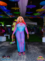 Body Morphing Stripe Printed Semi Sheer Dress