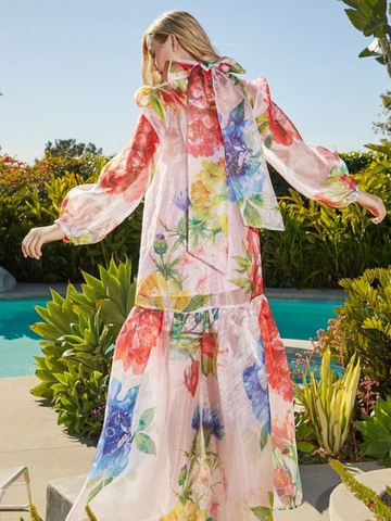 Feminity sheer maxi dress